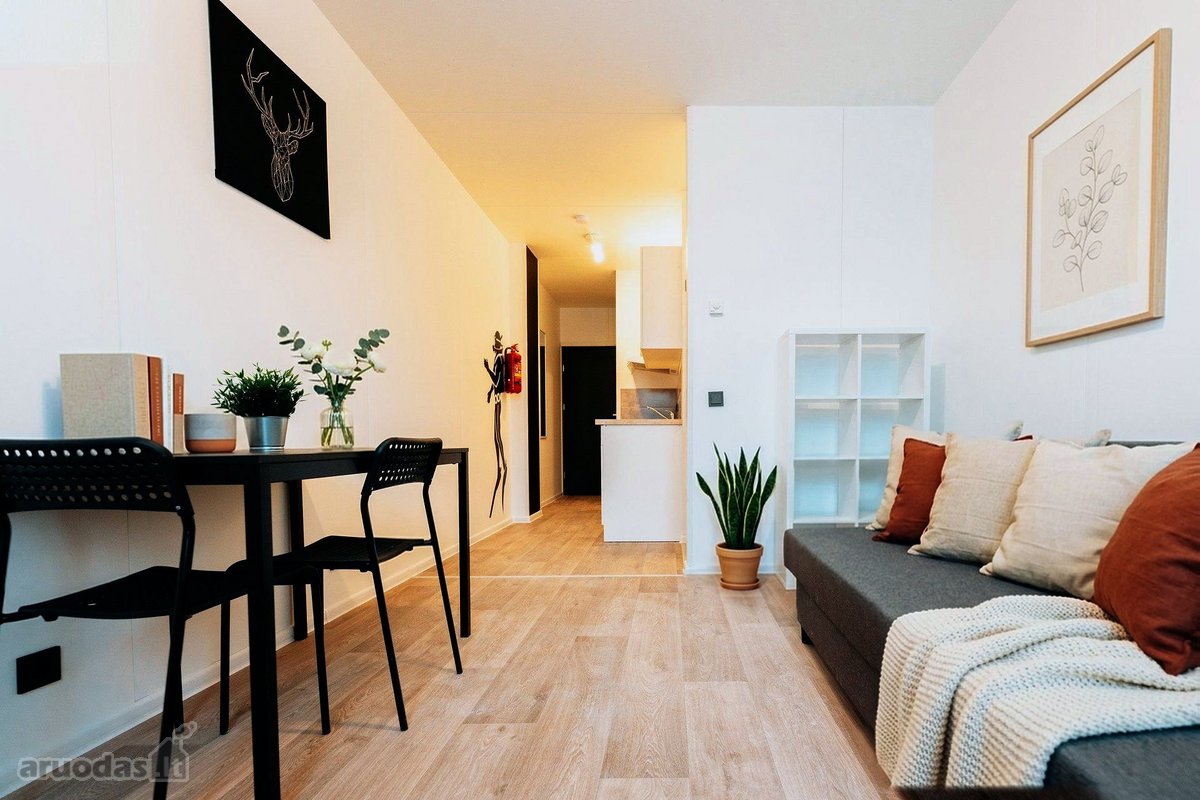 Išnuomojamas Įrengtas 17 m² Studijos Tipo - nuotraukos Nr. 2
