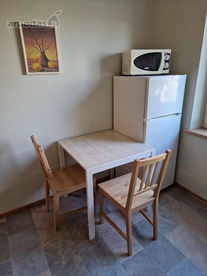 Jaukus tvarkingas butas su baldais ir buitine - nuotraukos Nr. 3