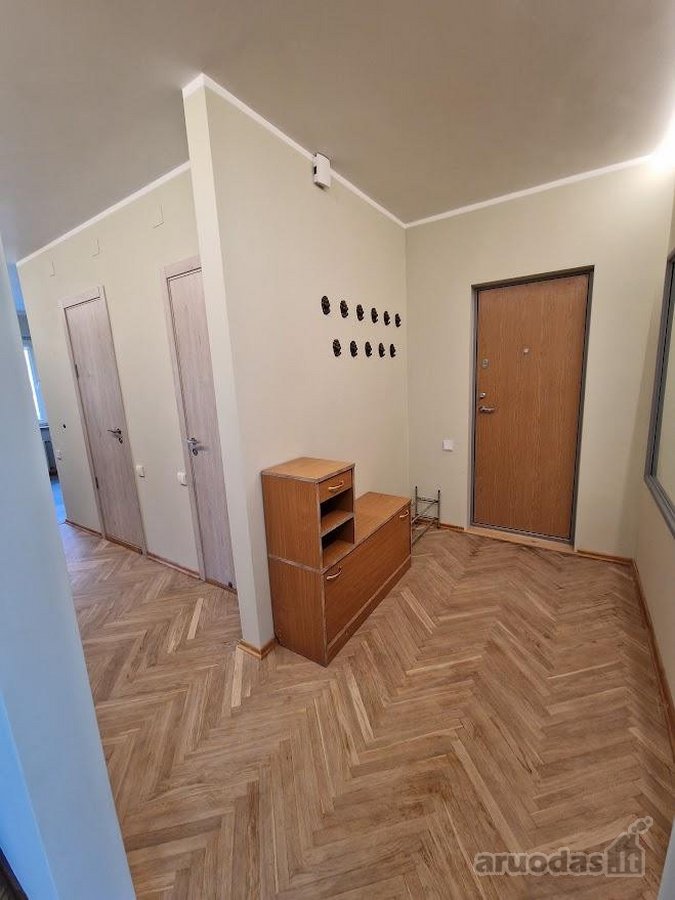 Jaukus tvarkingas butas su baldais ir buitine - nuotraukos Nr. 16