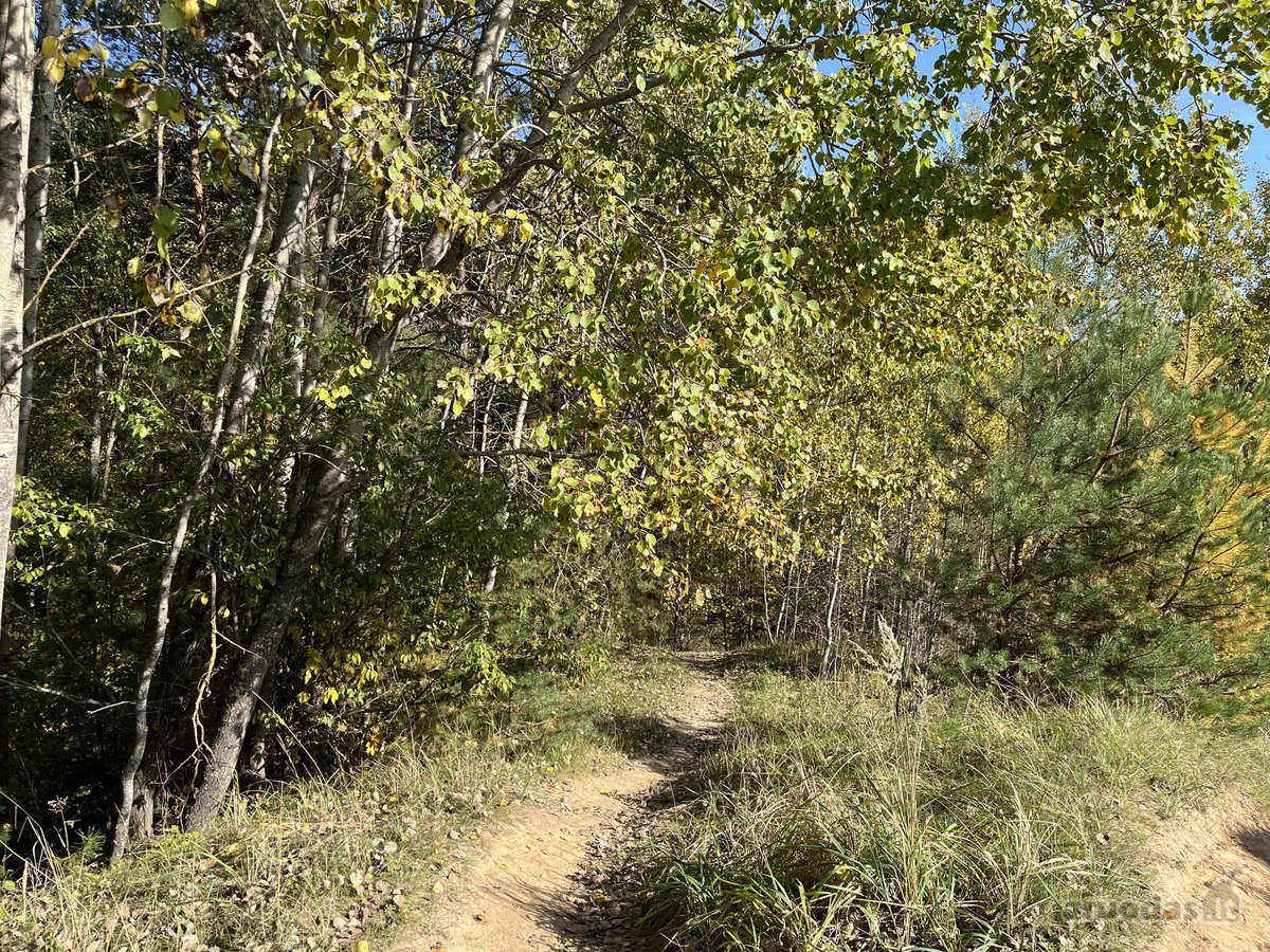 3 Kambarių Butas Žalumos Apsuptyje – Miškas - nuotraukos Nr. 7