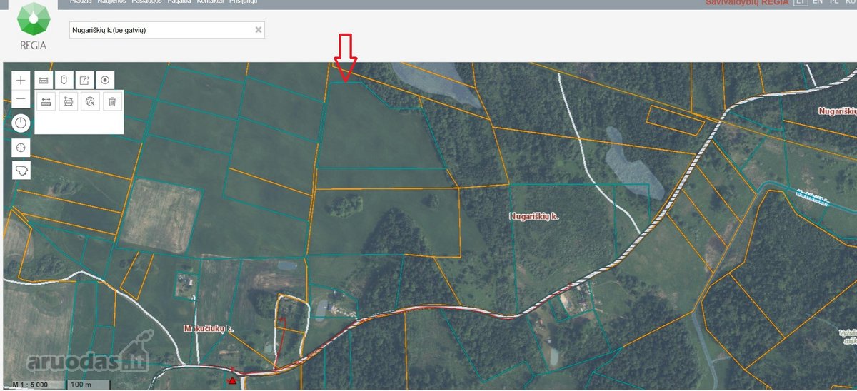 Paberžės sen. parduodamas 4,1661 ha žemės - nuotraukos Nr. 3