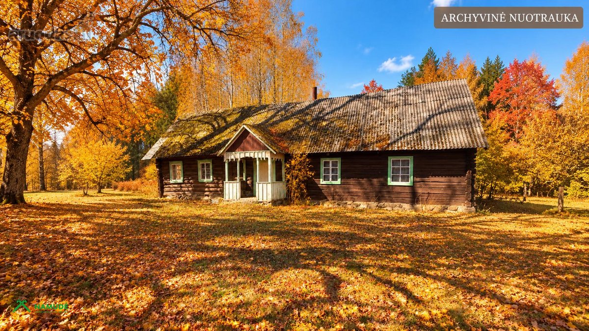 Parduodama 50 Arų Sodybvietė Miško Apsuptyje - nuotraukos Nr. 8