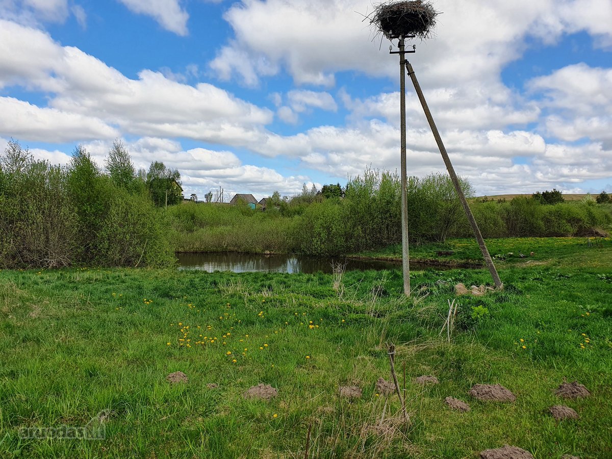 Parduodame 1.3302 Ha Kitos Žemės Ūkio - nuotraukos Nr. 10