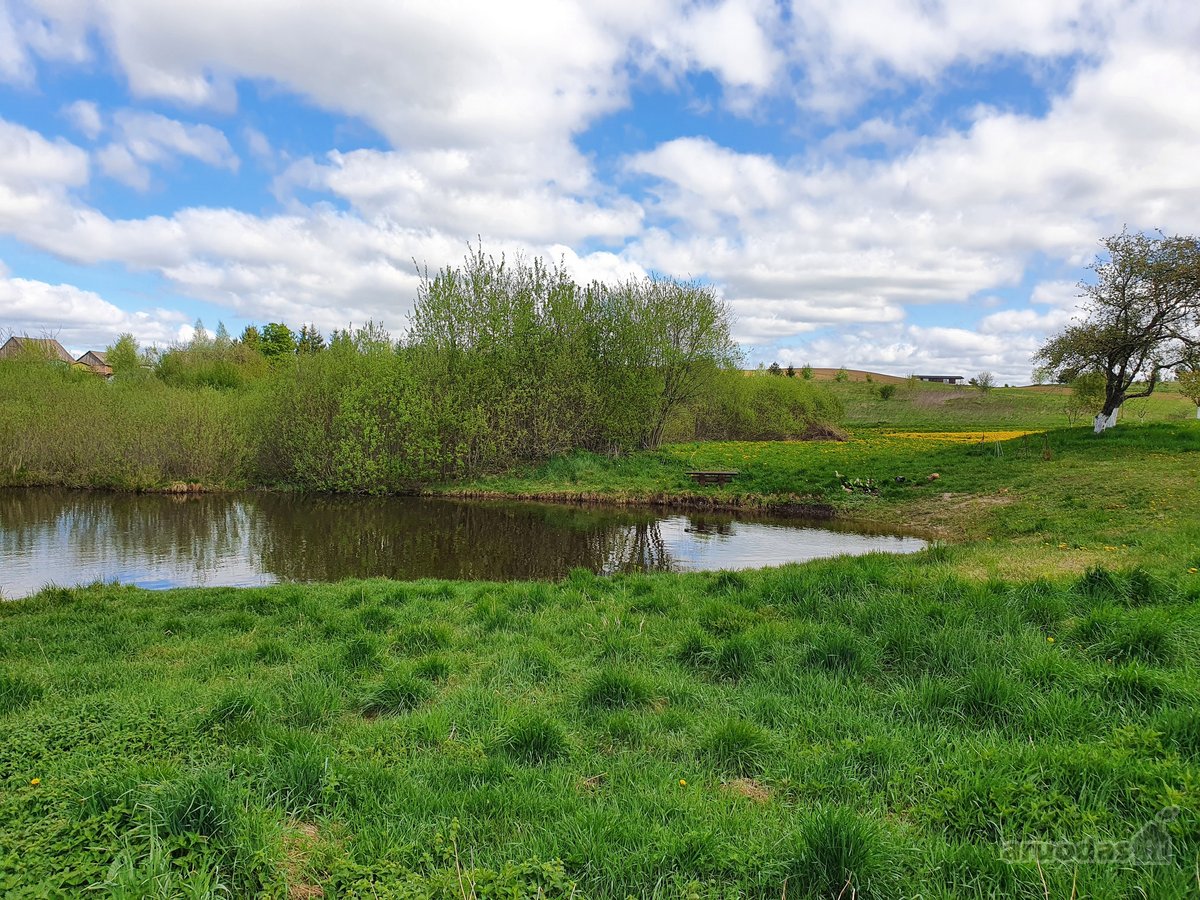 Parduodame 1.3302 Ha Kitos Žemės Ūkio - nuotraukos Nr. 11