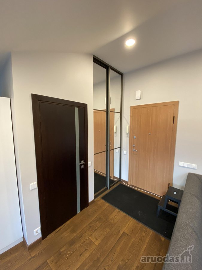 Studio tipo butas renovuoto namo palėpėje. - nuotraukos Nr. 6