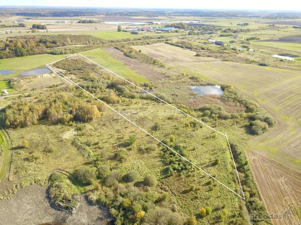 Didelis (3 ha) gyvenamosios paskirties žemės - nuotraukos Nr. 3