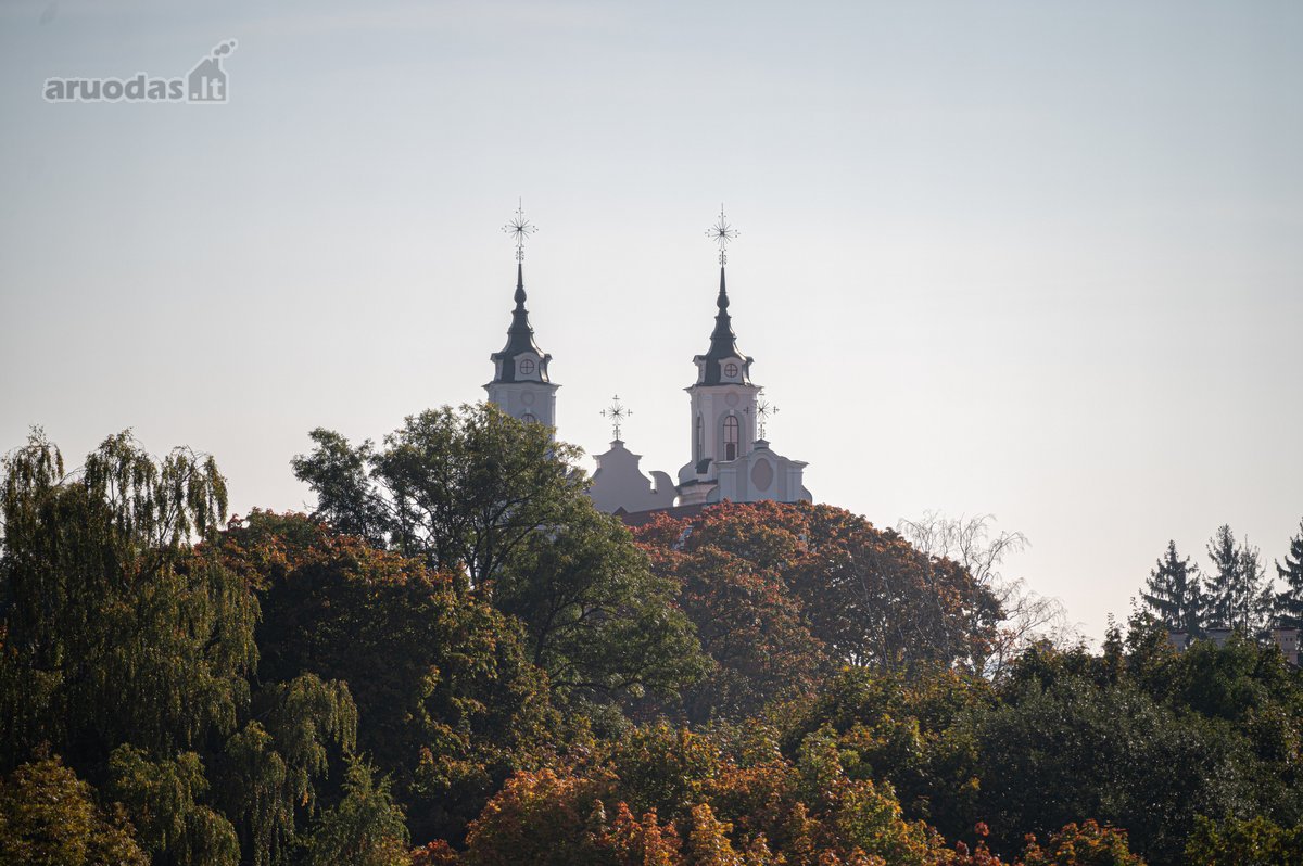 Tvarkingas 1 Kambario Butas Jeruzalėje – - nuotraukos Nr. 8