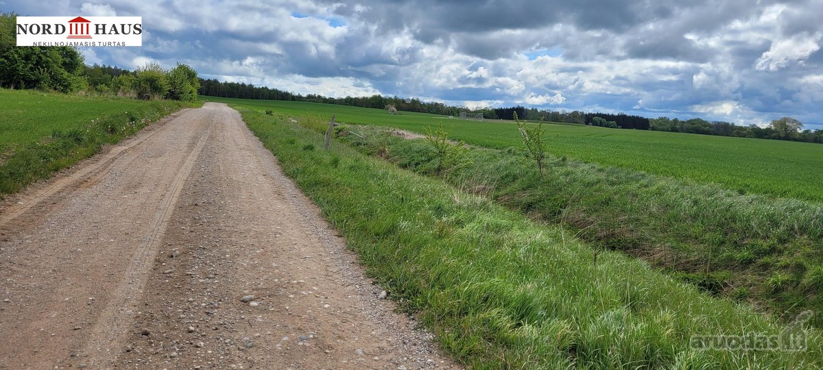 Parduodame žemės sklypą 3.42 ha  Klaipėdos r. - nuotraukos Nr. 2