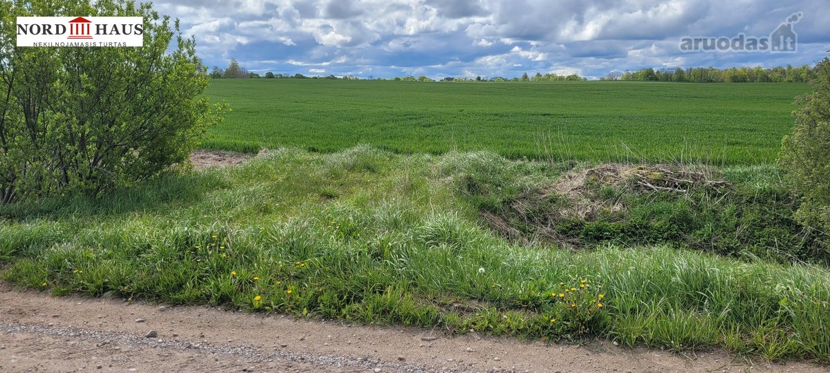 Parduodame žemės sklypą 3.42 ha  Klaipėdos r. - nuotraukos Nr. 3