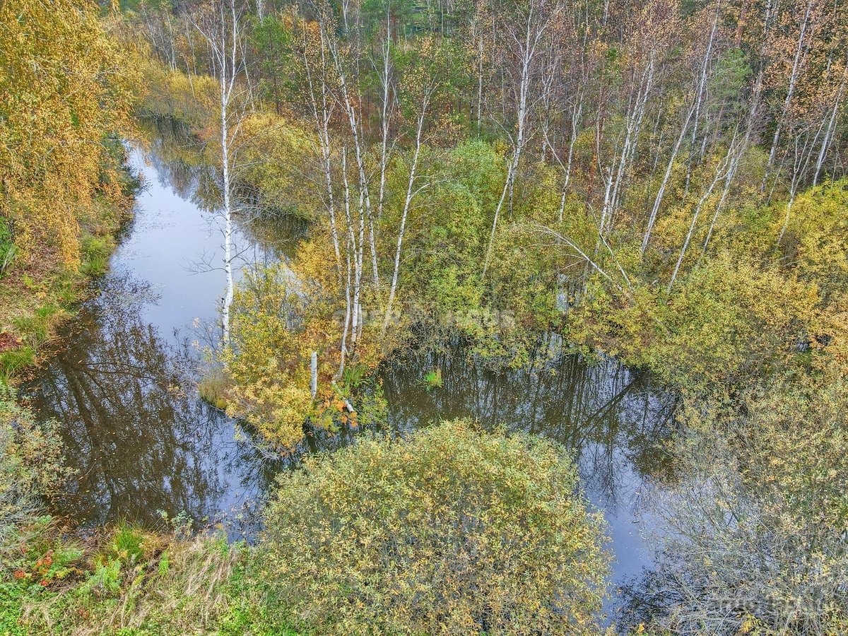 Rastinėnuose parduodami du besiribojantys - nuotraukos Nr. 6
