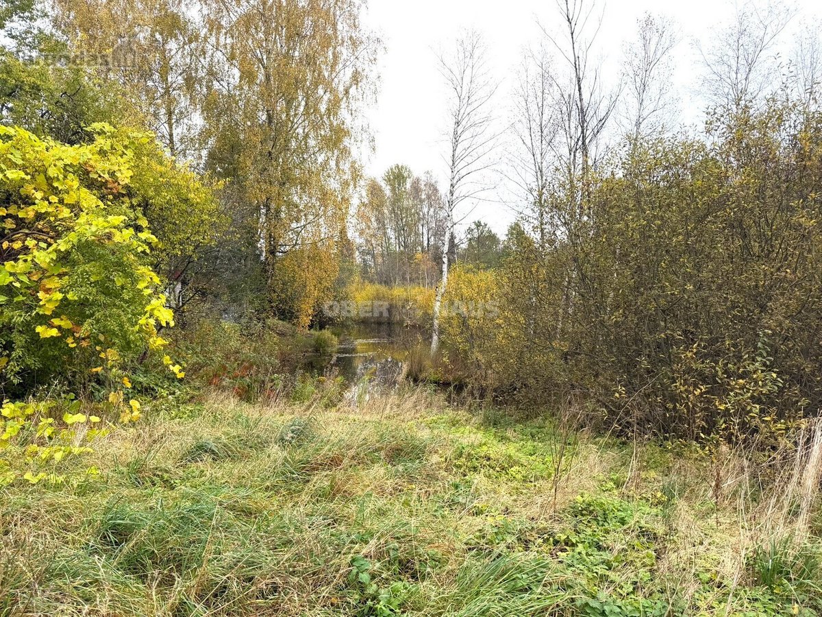 Rastinėnuose parduodami du besiribojantys - nuotraukos Nr. 15