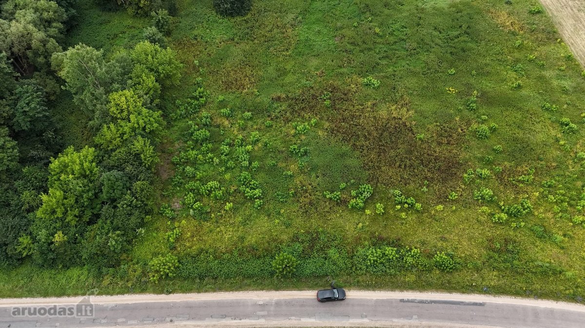 Parduodamas 1,80 ha žemės ūkio paskirties - nuotraukos Nr. 3