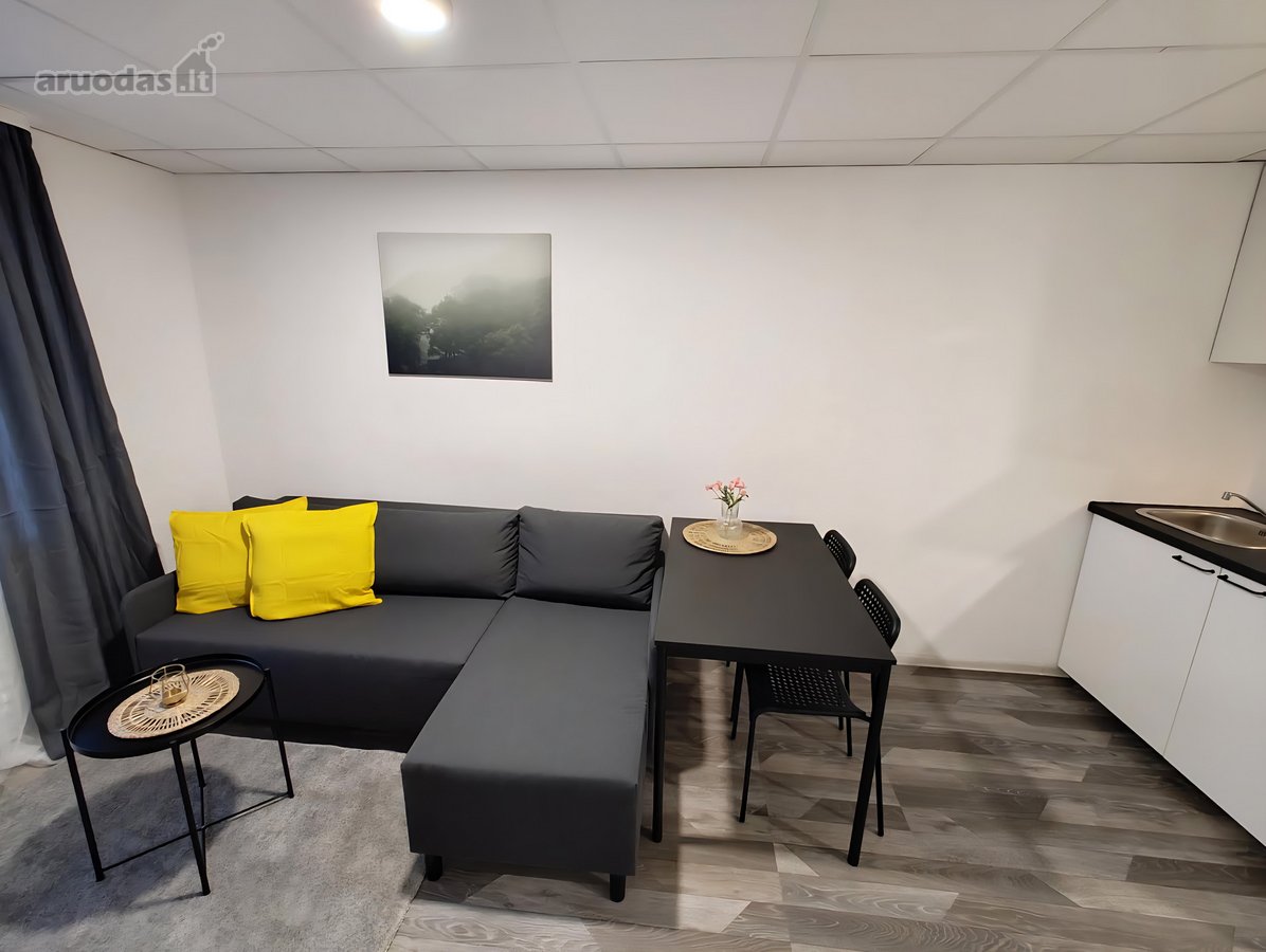 Nuomojamas Erdvus 20 m² Studijos Tipo Butas - nuotraukos Nr. 2