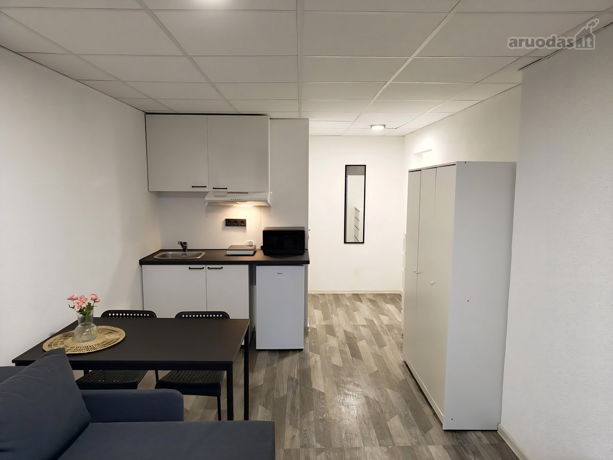 Nuomojamas Erdvus 20 m² Studijos Tipo Butas - nuotraukos Nr. 4