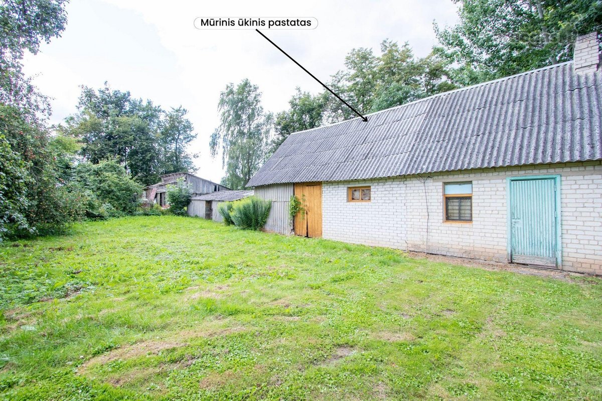 Parduodama sodyba ramioje vietoje, Pakruojo - nuotraukos Nr. 17