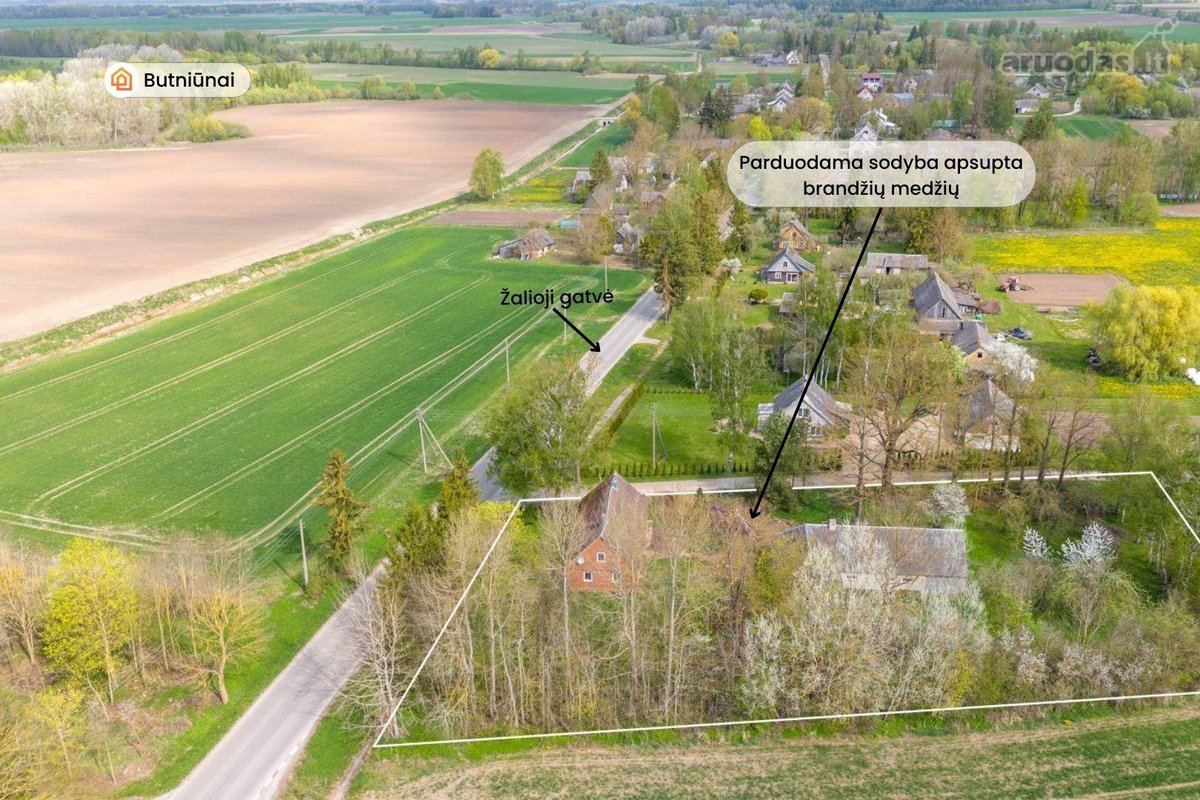 Parduodama sodyba ramioje vietoje, Pakruojo - nuotraukos Nr. 24