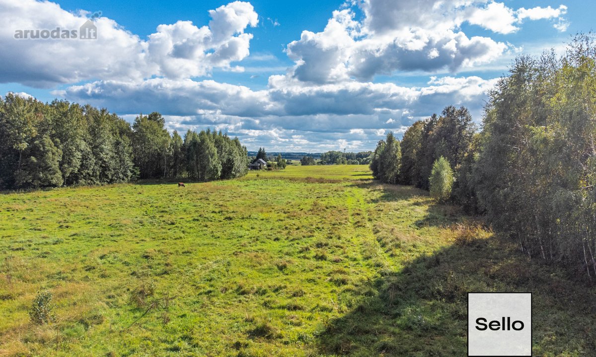  – Nt ekspertai be procentų - nuotraukos Nr. 9