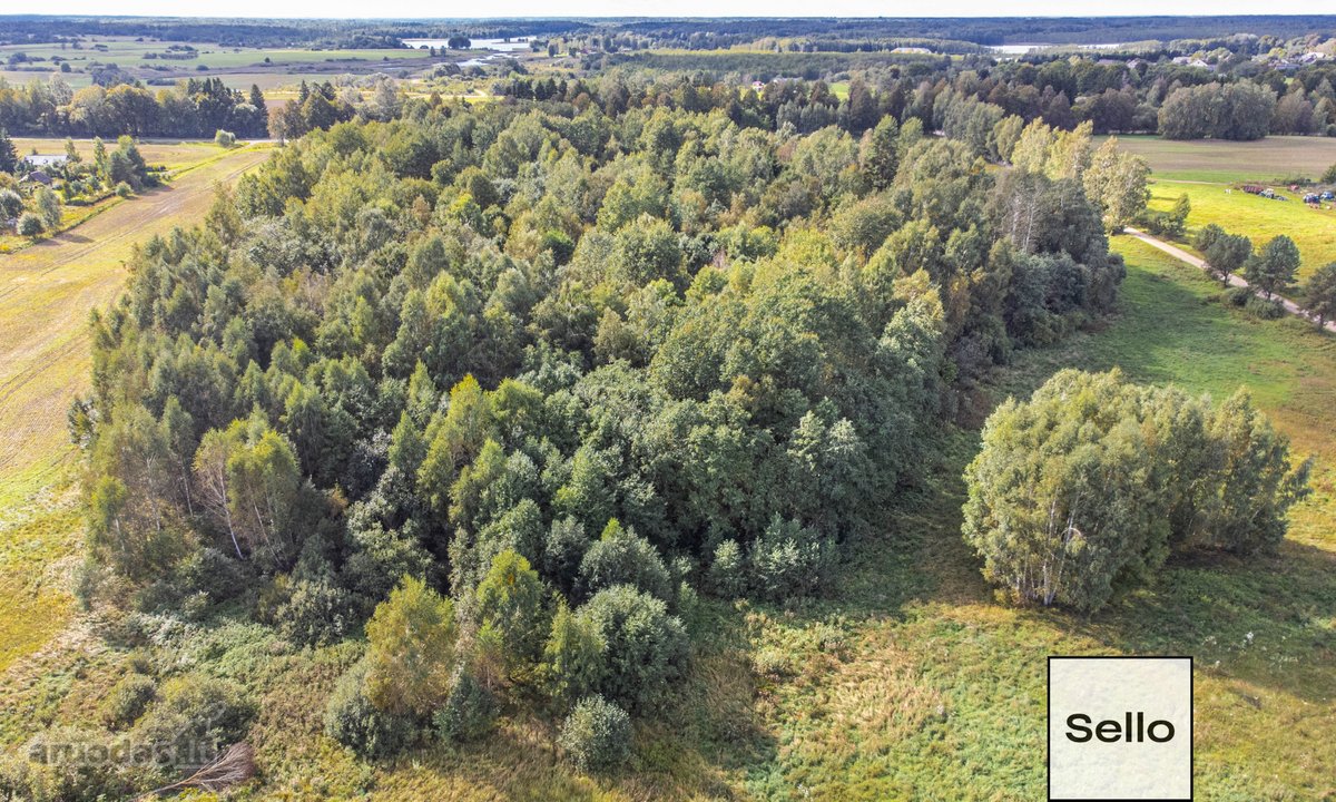  – Nt ekspertai be procentų - nuotraukos Nr. 22