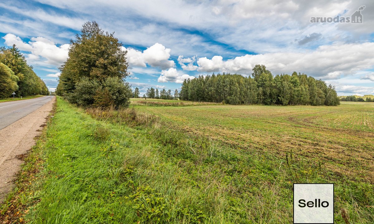  – Nt ekspertai be procentų - nuotraukos Nr. 25