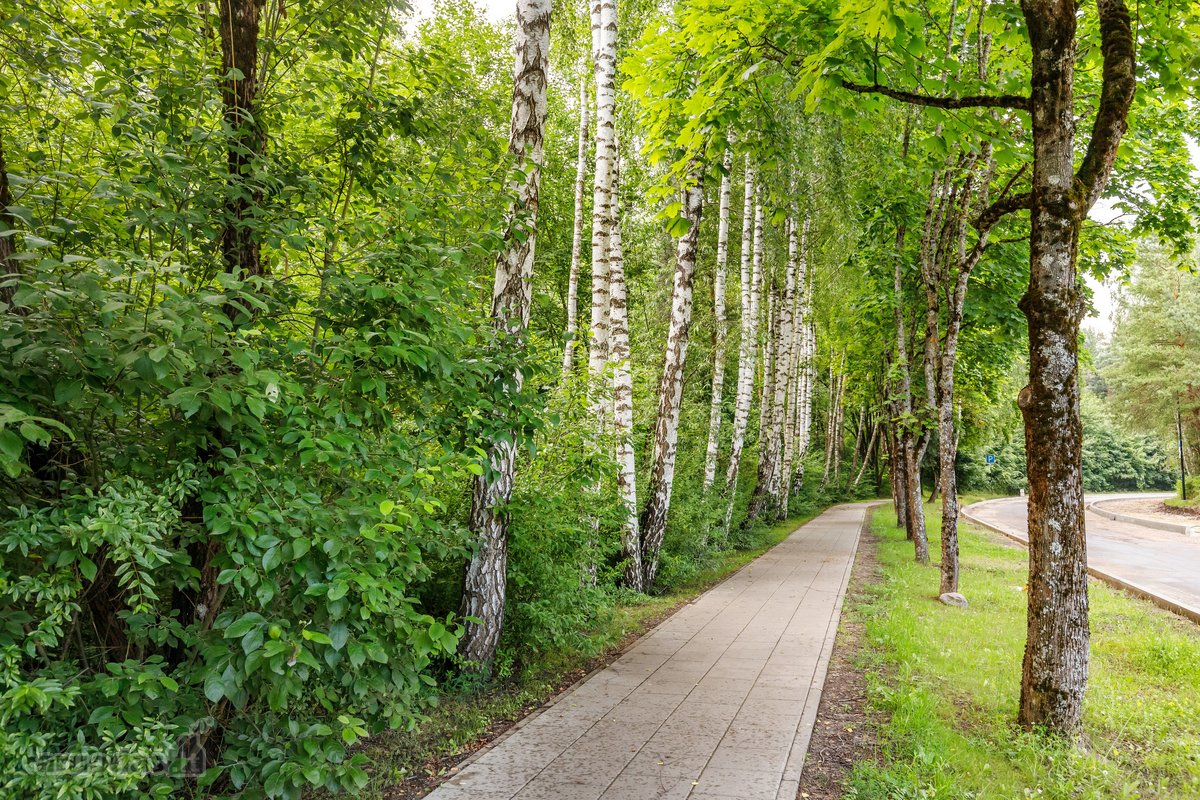 3 Dalykai, Dėl Kurių Šis Butas Ypatingas: - nuotraukos Nr. 41