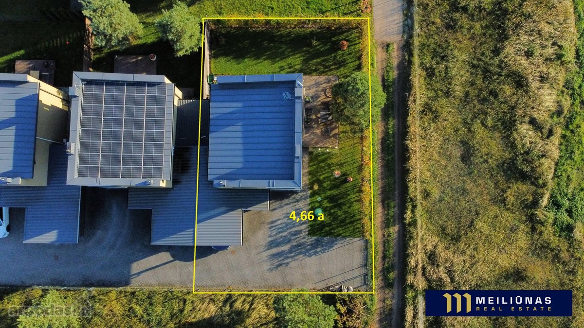 Itin jaukiame, pilnai susiformavusiame - nuotraukos Nr. 34
