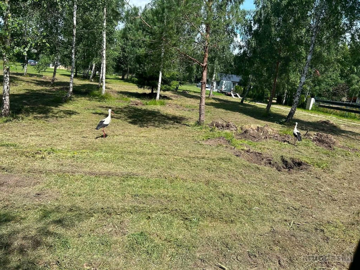 ? Parduodamas 18,38 A Sklypas Namo Statybai – - nuotraukos Nr. 2