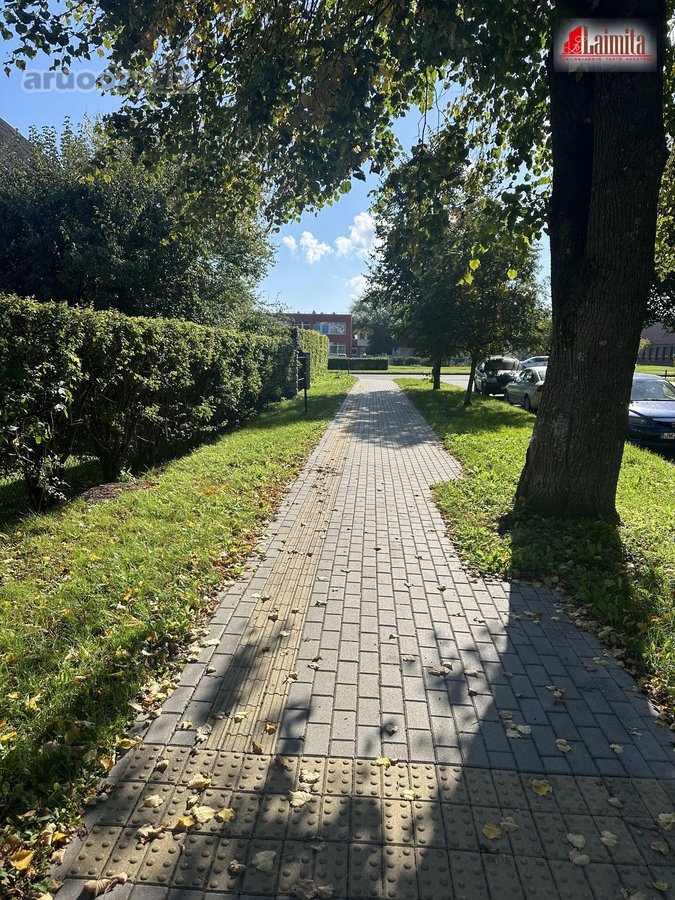 Išskirtinis Ir Pilnai Veikiantis Vaikų - nuotraukos Nr. 23