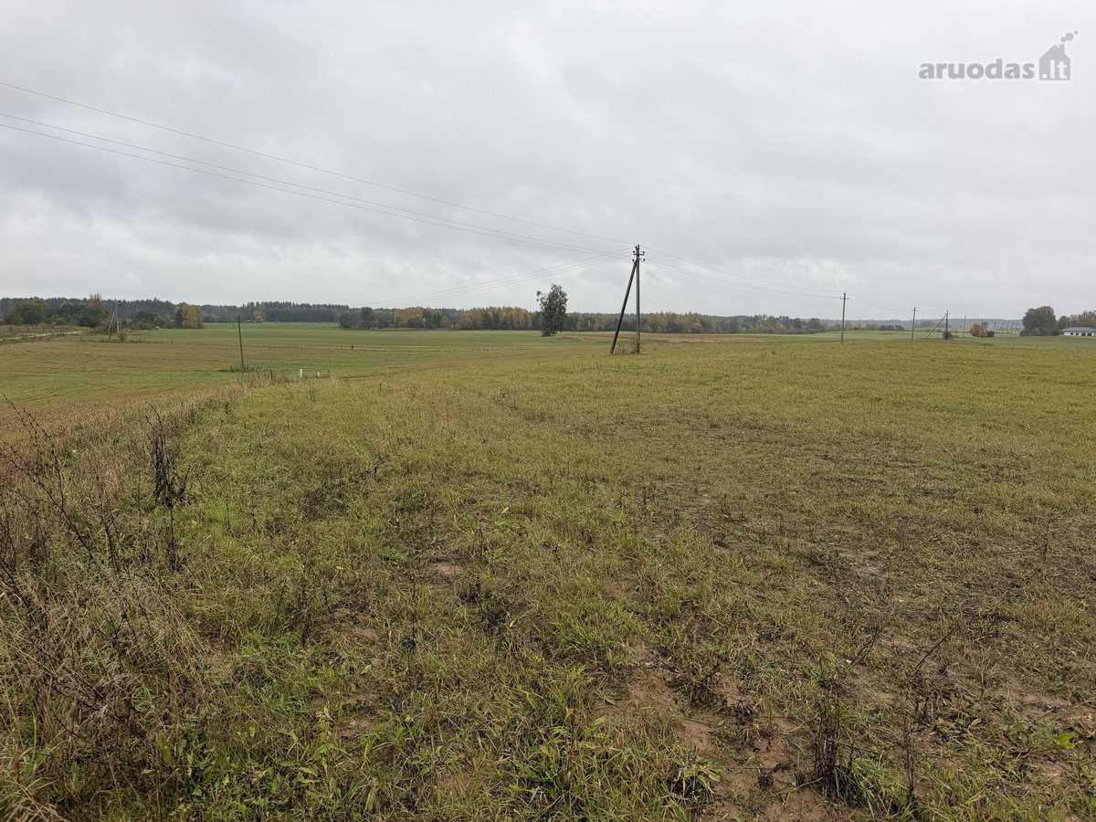 ? Parduodamas 79 arų namų valdos sklypas - nuotraukos Nr. 4