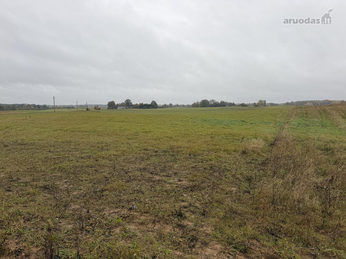 ? Parduodamas 79 arų namų valdos sklypas - nuotraukos Nr. 5