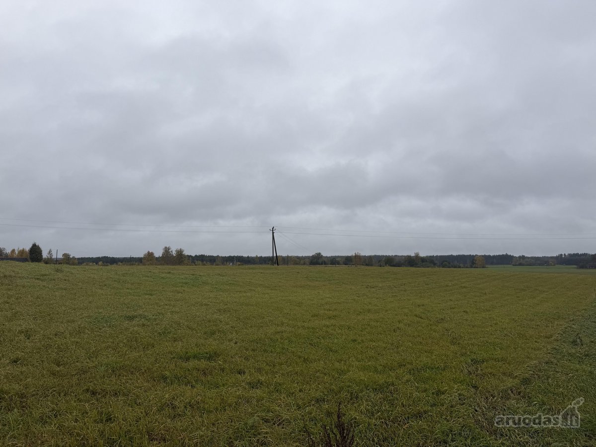 ? Parduodamas 79 arų namų valdos sklypas - nuotraukos Nr. 6