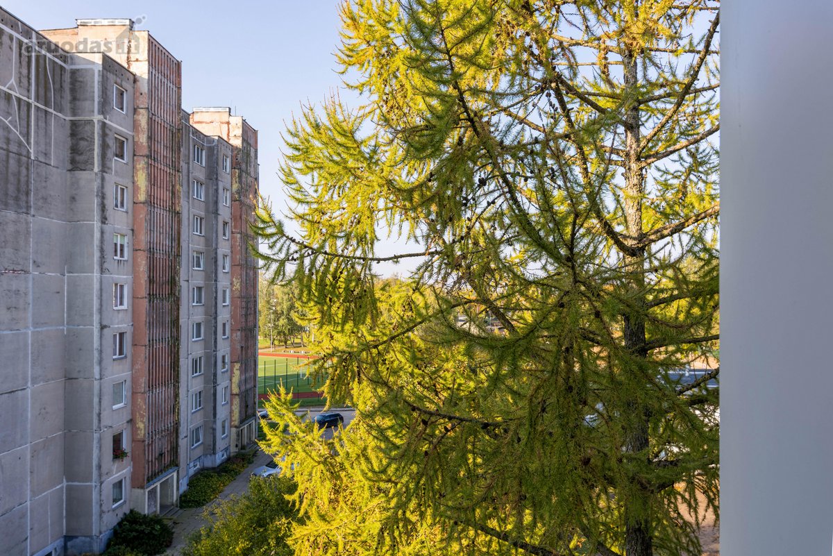 Parduodamas Kompaktiškas, Investicinis 1 - nuotraukos Nr. 2