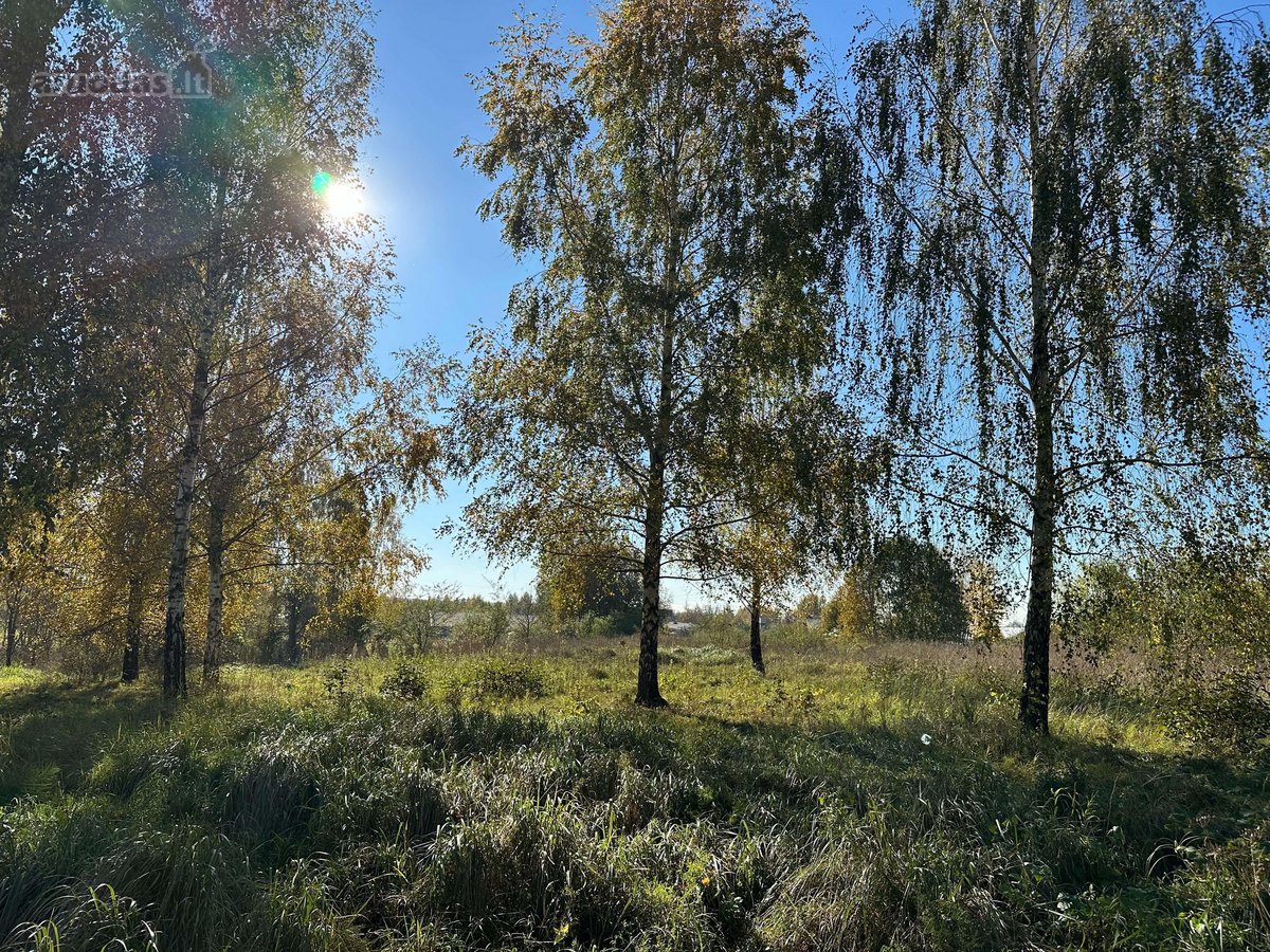 Parduodamas namų valdos sklypas Vilniuje - nuotraukos Nr. 4