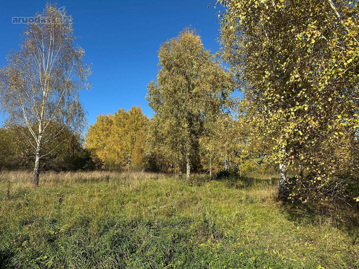 Parduodamas namų valdos sklypas Vilniuje - nuotraukos Nr. 2