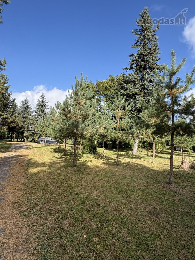 Parduodama išskirtinio gamtovaizdžio sodyba - nuotraukos Nr. 40