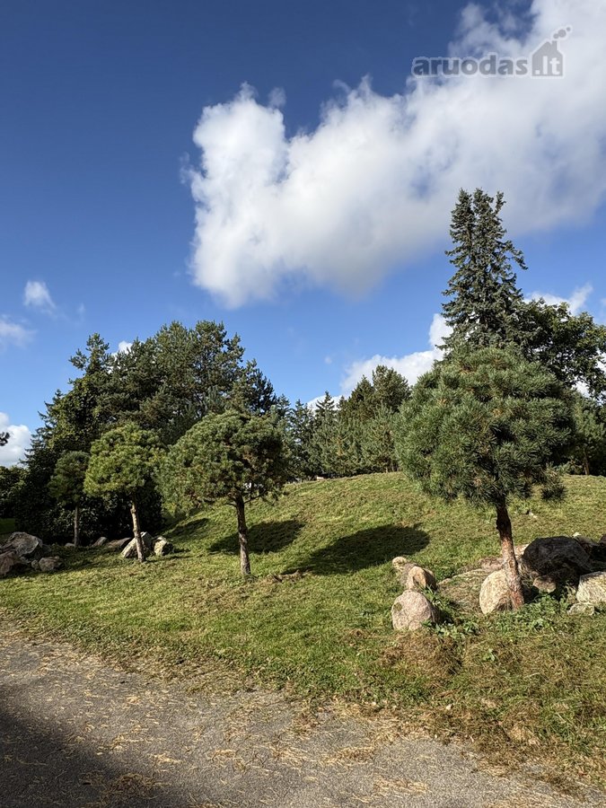 Parduodamas 3 ha (300 arų) sklypas su mūriniu - nuotraukos Nr. 2