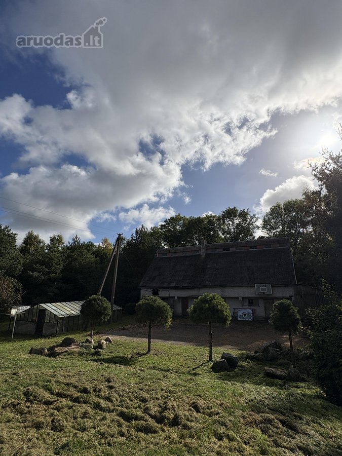 Parduodamas 3 ha (300 arų) sklypas su mūriniu - nuotraukos Nr. 8