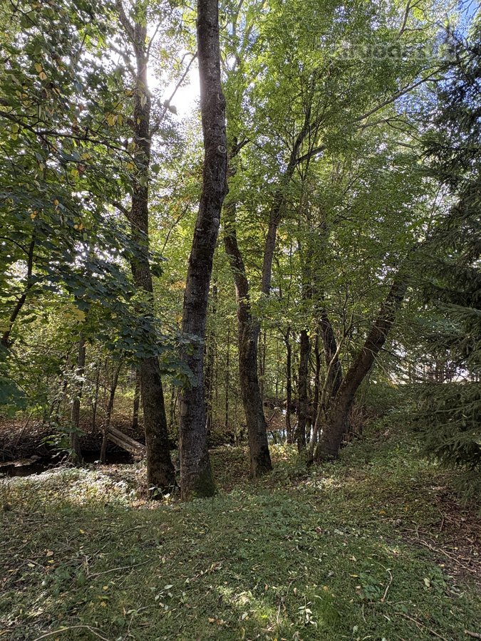 Parduodama išskirtinio gamtovaizdžio sodyba - nuotraukos Nr. 12