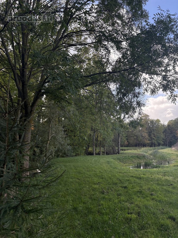 Parduodamas 3 ha (300 arų) sklypas su mūriniu - nuotraukos Nr. 16
