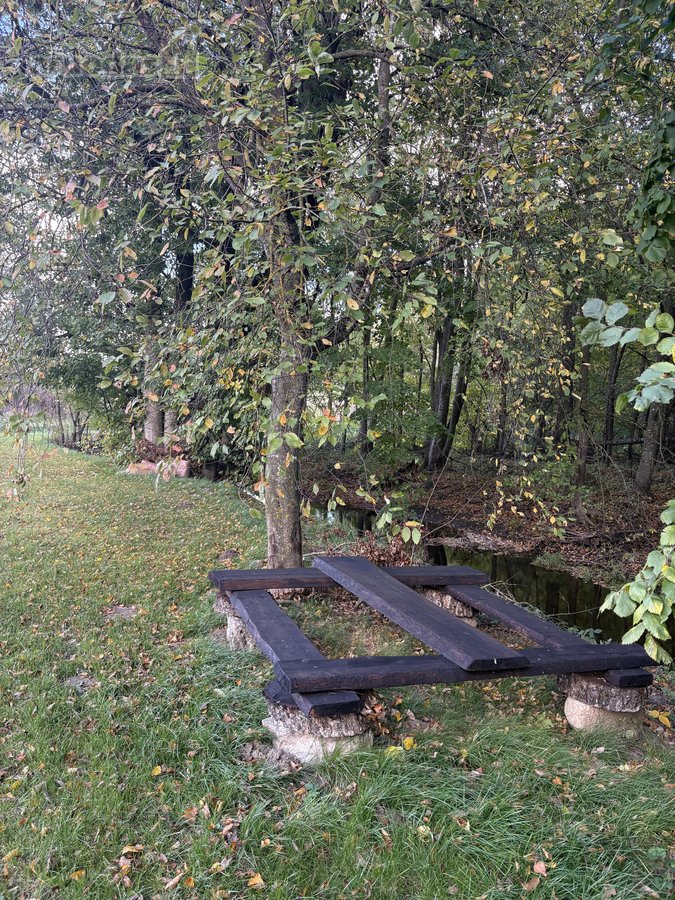 Parduodamas 3 ha (300 arų) sklypas su mūriniu - nuotraukos Nr. 19