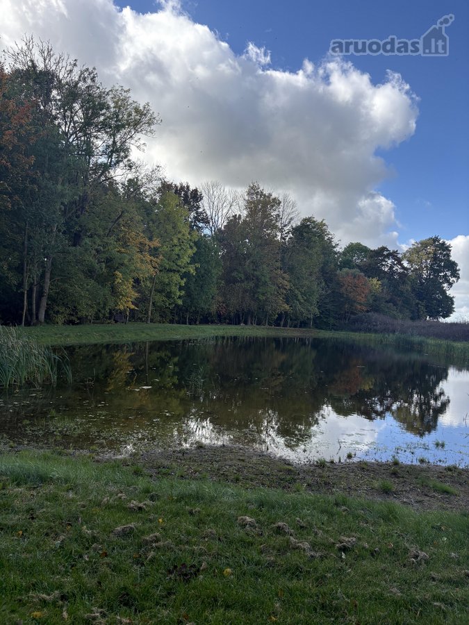 Parduodamas 3 ha (300 arų) sklypas su mūriniu - nuotraukos Nr. 20