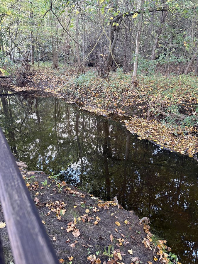 Parduodamas 3 ha (300 arų) sklypas su mūriniu - nuotraukos Nr. 26