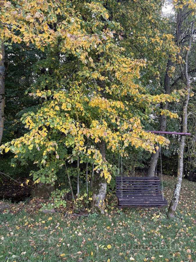 Parduodama išskirtinio gamtovaizdžio sodyba - nuotraukos Nr. 28