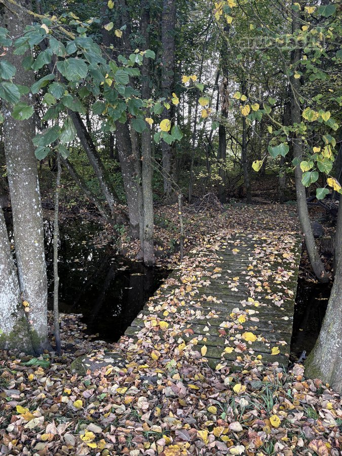 Parduodamas 3 ha (300 arų) sklypas su mūriniu - nuotraukos Nr. 32