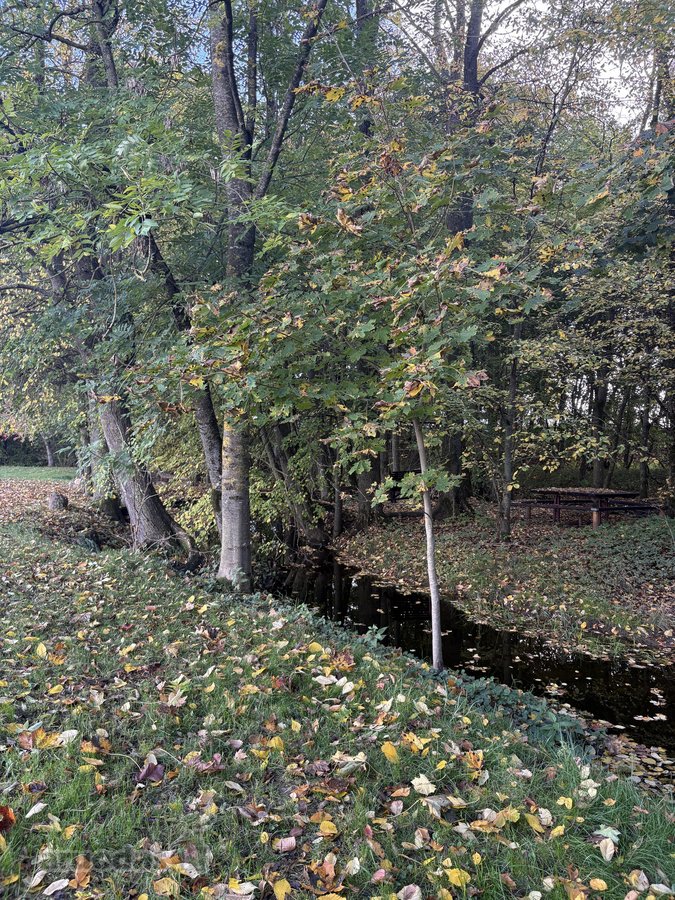 Parduodama išskirtinio gamtovaizdžio sodyba - nuotraukos Nr. 37