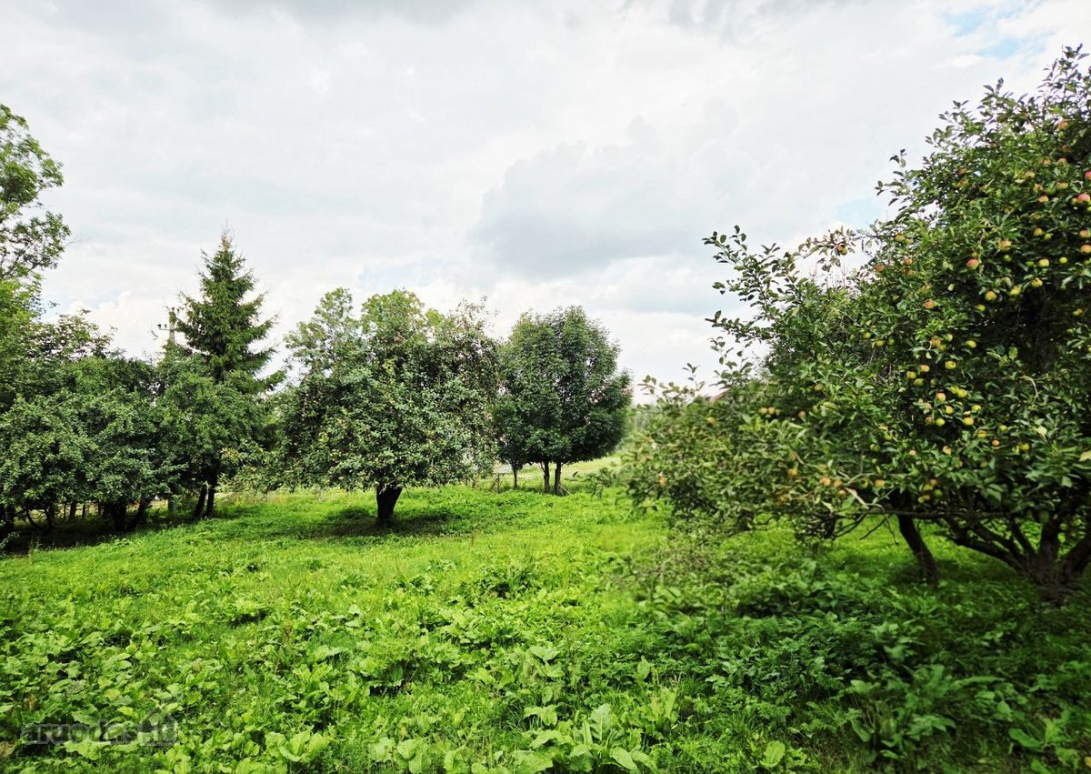 Pagėgių sav., Strazdų k. - nuotraukos Nr. 10