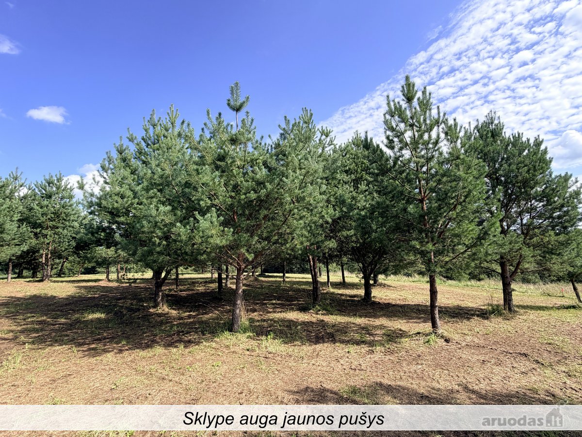 Parduodamas sklypas, ypatingai gražaus - nuotraukos Nr. 23