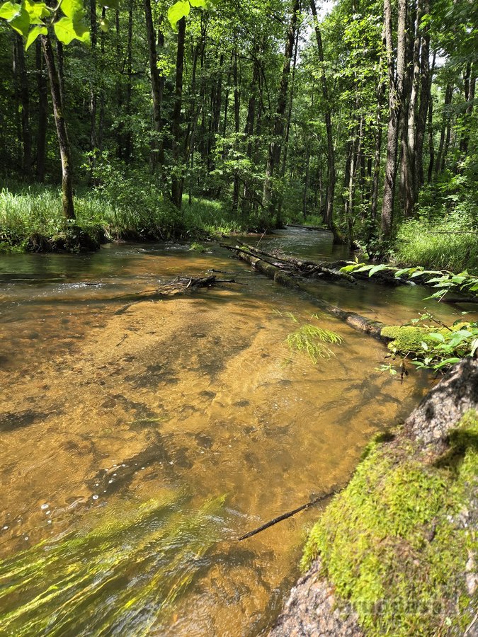 Parduodami apie 82 arų ploto sklypai Malūno g - nuotraukos Nr. 13