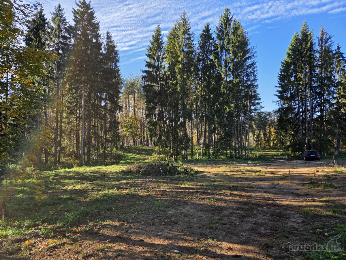 Parduodami apie 82 arų ploto sklypai Malūno g - nuotraukos Nr. 8