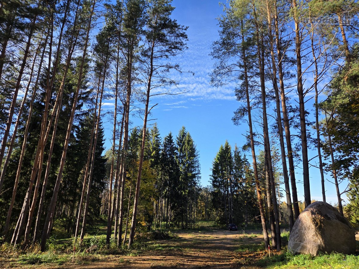 Parduodami apie 82 arų ploto sklypai Malūno g - nuotraukos Nr. 5