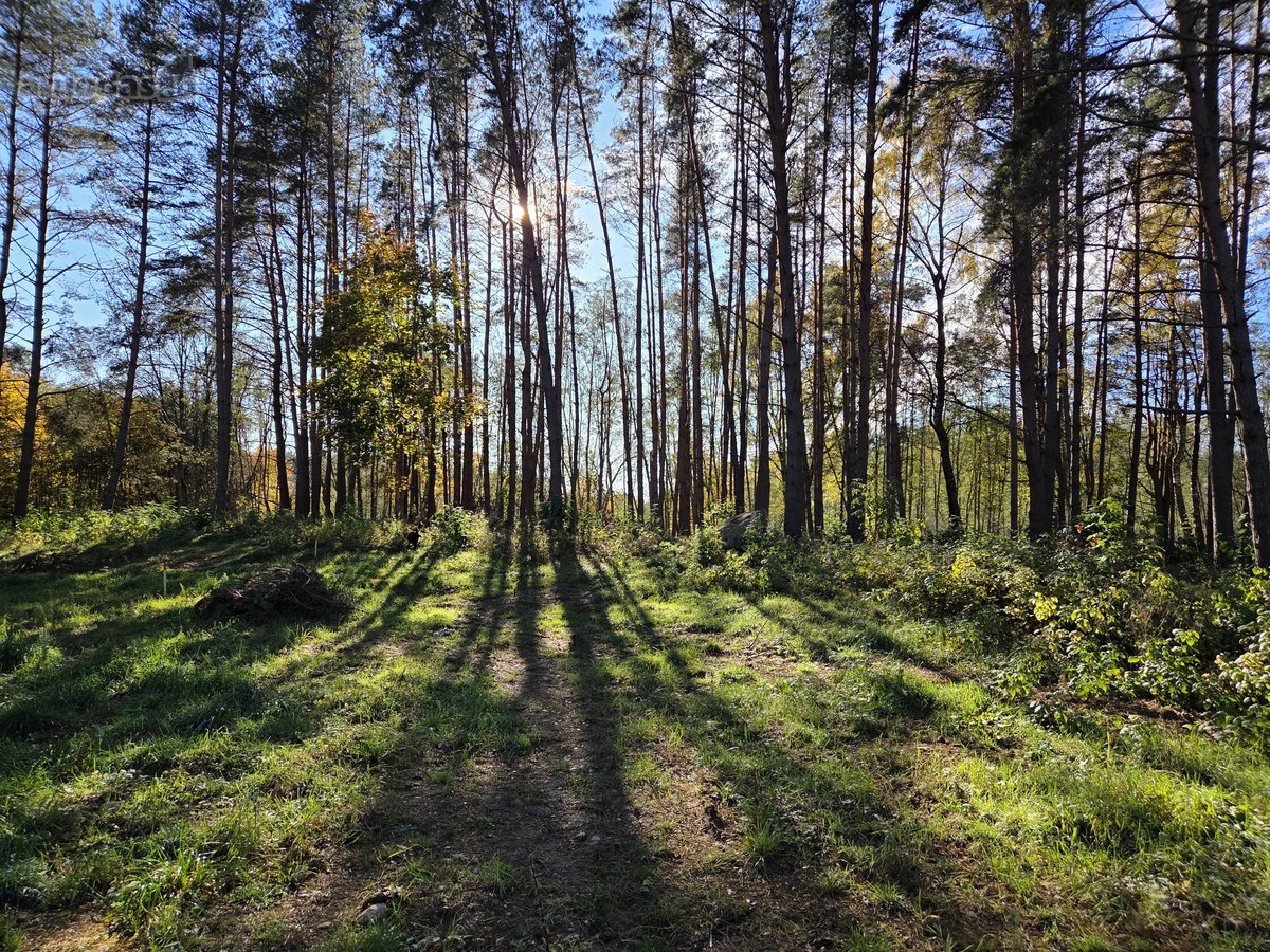 Parduodami apie 82 arų ploto sklypai Malūno g - nuotraukos Nr. 11